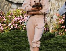 莎拉波娃赛事官方发布赛事规则更新新规，日本队争议不断！的简单介绍