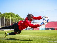  本菲卡vs拜仁慕尼黑 