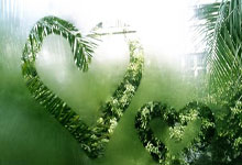 剑门黑豹队对阵岭南鲸鲨队，篮球小组赛爆冷，门将神扑救主——快速转换撕裂防线的简单介绍