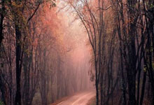 包含Karsa爆冷击败塞尔维亚队，突破纪录引爆全场！的词条